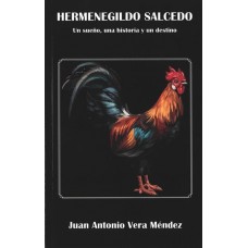 HERMEREGILDO SALCEDO UN SUENO UNA HISTOR