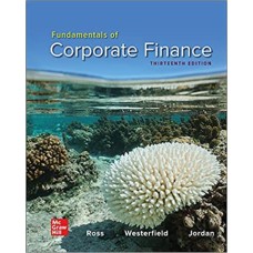 FUNDAMENTALS OF CORPORATE FINANCE 13E