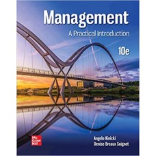 MANAGEMENT A PRACTICAL INTRODUCTION 10E